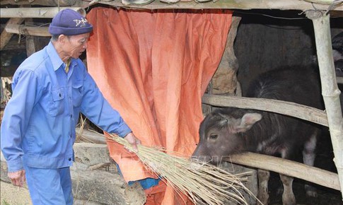 Ph&#242;ng chống đ&#243;i r&#233;t, bảo vệ đ&#224;n vật nu&#244;i ở v&#249;ng n&#250;i cao