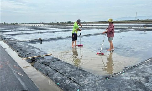 Xuất hiện mưa tr&#225;i m&#249;a, muối bị trễ vụ