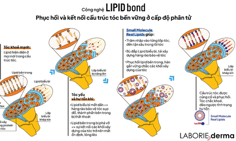 Sức mạnh khoa học c&#244;ng nghệ Lipid Bond của LABORIE derma gi&#250;p phục hồi t&#243;c hư tổn chỉ với 1 lần sử dụng trong 8 ph&#250;t