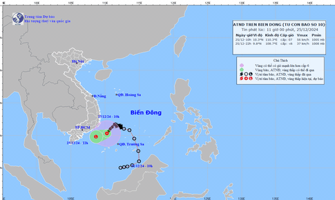 B&#227;o số 10 suy yếu th&#224;nh &#225;p thấp nhiệt đới, biển động mạnh
