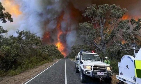 Thảm họa ch&#225;y rừng ở Australia: 74.000 ha rừng bị thi&#234;u rụi