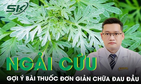 Gợi &#253; b&#224;i thuốc đơn giản với l&#225; ngải cứu để chữa đau đầu