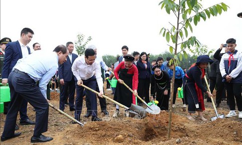 Chủ tịch nước dự Lễ ph&#225;t động Tết trồng c&#226;y &#39;Đời đời nhớ ơn B&#225;c Hồ&#39;