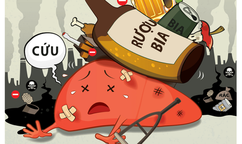 Gan bị tổn thương thế nào nếu bạn uống quá nhiều hoặc nghiện rượu?