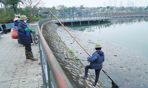 Lượng lớn c&#225; chết bất thường trong c&#244;ng vi&#234;n Thi&#234;n Văn Học