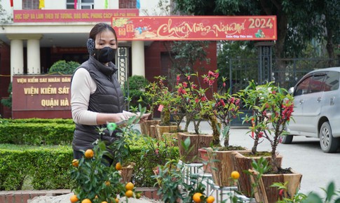 Tiểu thương H&#224; Nội ngậm ng&#249;i bỏ lại c&#226;y nếu kh&#244;ng b&#225;n hết trước 30 Tết