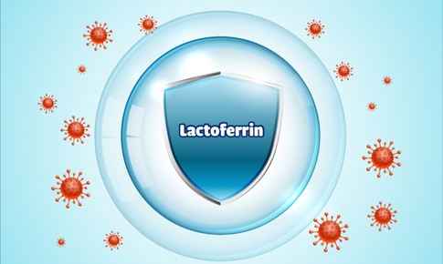 Lactoferrin - Protein kh&#225;ng khuẩn tự nhi&#234;n từ sữa non hỗ trợ trẻ vượt bệnh vặt