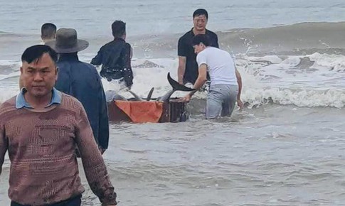 H&#224;nh động đầy t&#237;nh nh&#226;n văn của người d&#226;n bỏ tiền mua c&#225; heo thả về biển