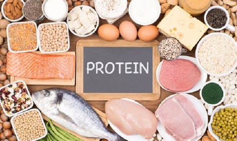 Thiếu protein ảnh hưởng đến sức khỏe thế n&#224;o?