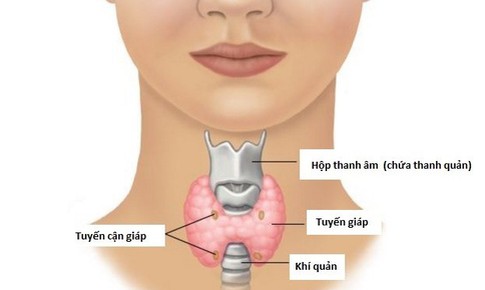 Điều trị bệnh l&#253; tuyến gi&#225;p