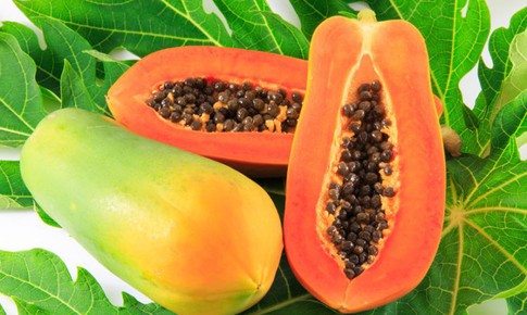 5 loại trái cây giàu enzyme tiêu hóa tự nhiên tốt cho sức khỏe đường ruột