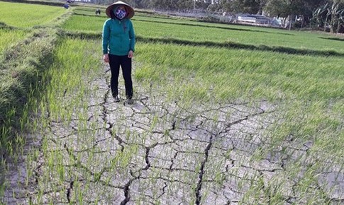 Cảnh b&#225;o kh&#244; hạn nghi&#234;m trọng ở miền Trung, T&#226;y Nguy&#234;n, x&#226;m nhập mặn ở Nam Bộ