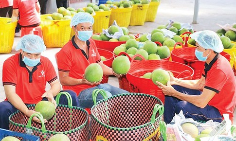 Tin cực vui cho xuất khẩu n&#244;ng sản của Việt Nam