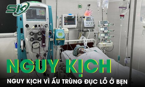 Người phụ nữ nguy kịch do ấu tr&#249;ng sốt m&#242; đục lỗ ở bẹn