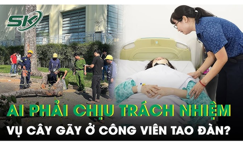 G&#227;y c&#224;nh c&#226;y khiến 2 người thiệt mạng, người chịu tr&#225;ch nhiệm chăm s&#243;c c&#226;y c&#243; bị khởi tố h&#236;nh sự?