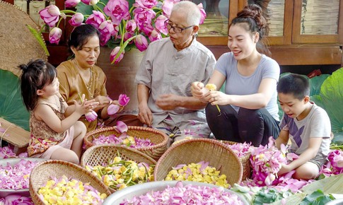 Nghề ướp tr&#224; sen Quảng An (T&#226;y Hồ) trở th&#224;nh Di sản Văn h&#243;a phi vật thể quốc gia