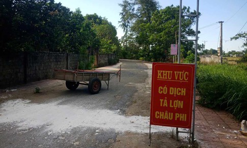 Xuất hiện dịch tả lợn ch&#226;u Phi ở H&#224; Tĩnh