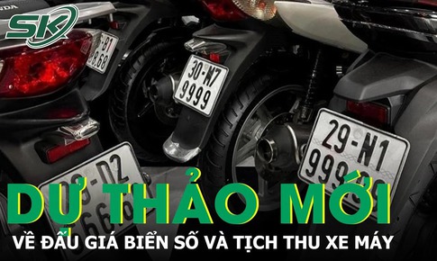 Dự thảo mới quy định về đấu gi&#225; biển số xe m&#225;y trực tuyến v&#224; tịch thu xe