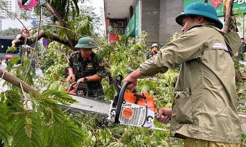 H&#224; Nội y&#234;u cầu ho&#224;n tất việc dọn dẹp c&#226;y xanh g&#227;y, đổ trước ng&#224;y 20/9