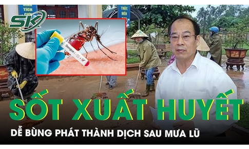 Cảnh b&#225;o dễ b&#249;ng dịch sốt xuất huyết sau mưa lũ v&#224; c&#225;ch ph&#242;ng tr&#225;nh