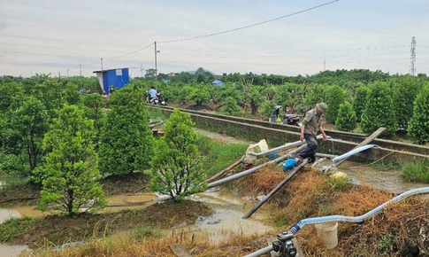 Sau b&#227;o số 3: C&#225;c địa phương tập trung t&#225;i thiết sản xuất, kinh doanh như thế n&#224;o?