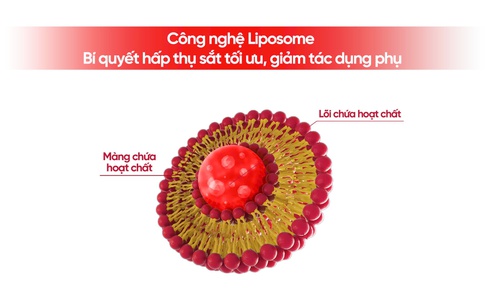 C&#244;ng nghệ liposome – B&#237; quyết gi&#250;p cơ thể hấp thụ sắt tối ưu, giảm t&#225;c dụng phụ