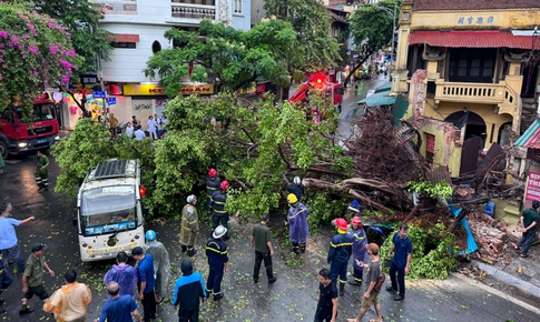 T&#226;m b&#227;o chuẩn bị di chuyển v&#224;o H&#224; Nội, mưa rất lớn, gi&#243; r&#237;t từng cơn