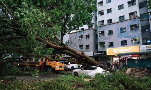 Gần 200 người thương vong do b&#227;o số 3