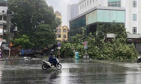 Đề nghị doanh nghiệp bảo hiểm tạm ứng, bồi thường thiệt hại do b&#227;o số 3