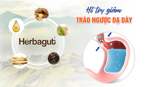 Herbagut – Chiết xuất từ 14 thảo dược tốt cho người bị tr&#224;o ngược dạ d&#224;y