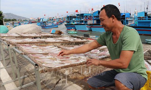 Gi&#225; nhiều loại hải sản kh&#244; tăng cao dịp cận Tết