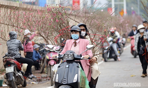 Người d&#226;n Thủ đ&#244; hối hả ‘chở Xu&#226;n’ về nh&#224; 