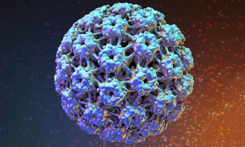 Nguy&#234;n nh&#226;n l&#226;y nhiễm virus HPV v&#224; c&#225;ch ph&#242;ng ngừa