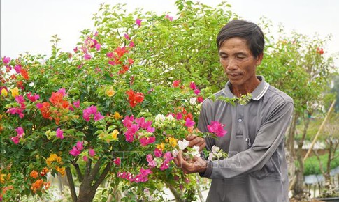 L&#224;ng nghề hoa giấy T&#226;n Dương chuẩn bị h&#224;ng triệu chậu hoa phục vụ Tết