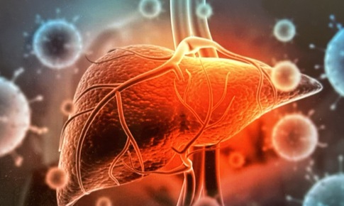 HIV làm tăng nguy cơ xơ gan và ung thư gan như thế nào?