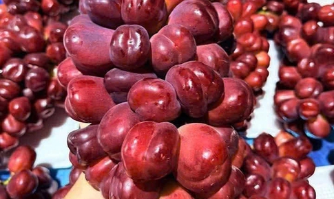 V&#236; sao nho sữa đỏ tr&#225;i tim gi&#225; cao vẫn &#39;h&#250;t&#39; người ti&#234;u d&#249;ng?