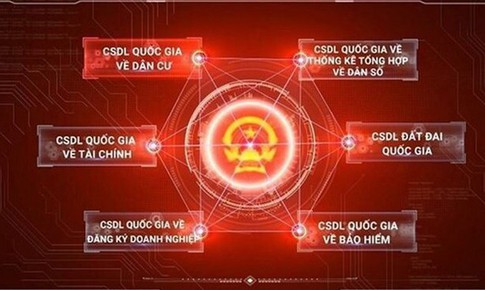 Hoàn thiện phần mềm kiểm soát tài sản, thu nhập trước ngày 25/11