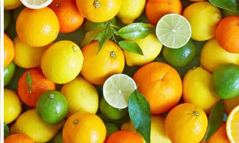 Cách giảm axit uric trong 7 ngày - Bí quyết giúp phòng ngừa gout và bảo vệ thận