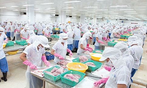 Thủy sản Mekong giải tr&#236;nh ch&#234;nh lệch lợi nhuận