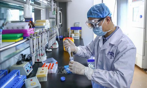 Trung Quốc thử nghiệm lâm sàng giai đoạn 3 thuốc điều trị ung thư não