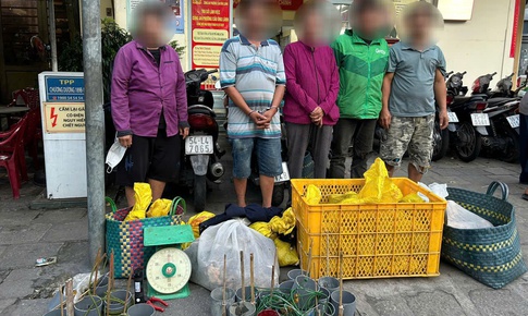 Bắt 15 đối tượng trong đường d&#226;y trộm cắp, mua b&#225;n ch&#243; m&#232;o kh&#244;ng r&#245; nguồn gốc tại TPHCM