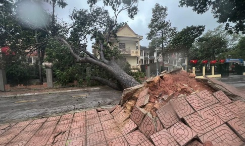 Bão Thần gió tác động thế nào đến đất liền nước ta?