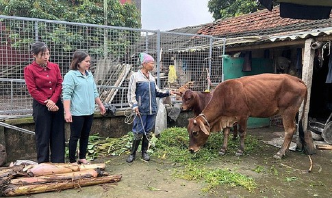 Ninh Bình: Thực hiện hiệu quả, đồng bộ các chính sách về giảm nghèo