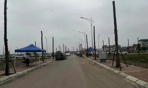 Đề xuất đấu giá rồi bỏ cọc bị cấm tham gia đến 5 năm