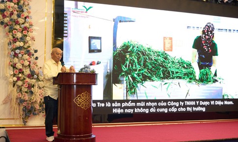 Hội thảo 'Y học Việt trong điều trị bệnh cơ xương khớp' khẳng định vai trò y học cổ truyền