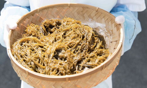 Giải ph&#225;p chăm s&#243;c sức khỏe từ thi&#234;n nhi&#234;n