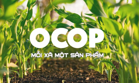 Tăng cường chính sách hỗ trợ và tháo gỡ vướng mắc trong triển khai OCOP