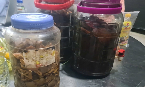 Sáu nạn nhân ngộ độc rượu ở Nghệ An đã qua cơn nguy kịch, chuẩn bị xuất viện