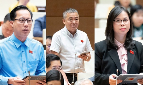 Thiên tai ngày càng khốc liệt, ĐBQH đề nghị giữ rừng, xử lý phá rừng lấy gỗ và làm dự án