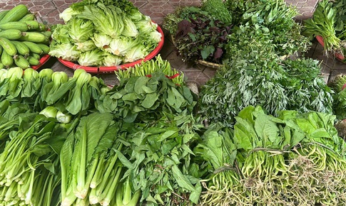 Ăn g&#236; để vừa tiết kiệm vừa đủ vitamin khi rau xanh tăng gi&#225; mạnh?